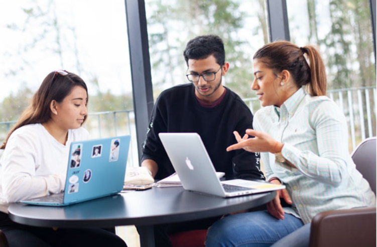 chương trình Cử nhân Khoa học về Phân tích Tài chính của Trent University
