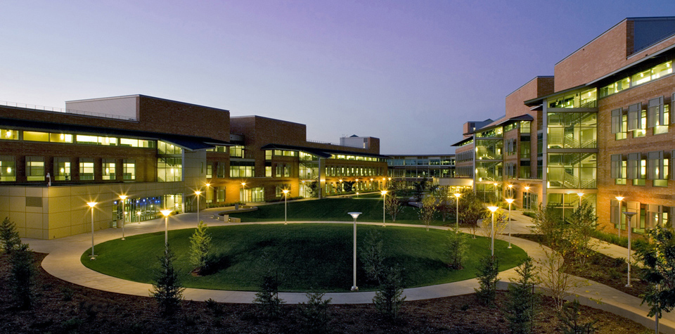 csu campus at night