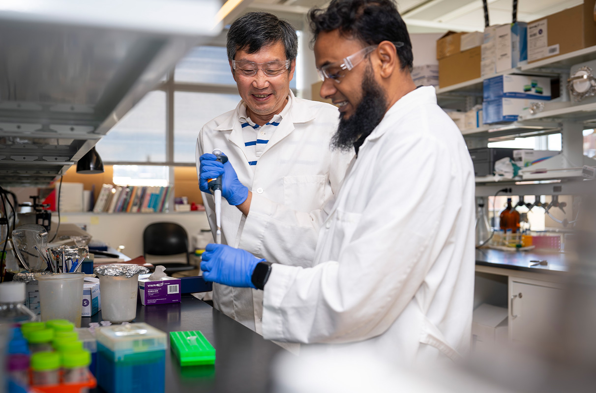 Sinh viên ngành y trường đại học Washington State University trong giờ thực hành