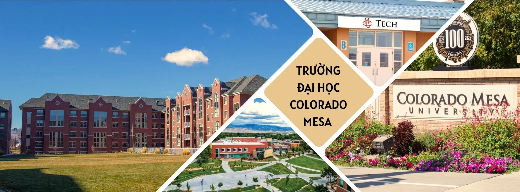Tổng quan về trường đại học Colorado Mesa
