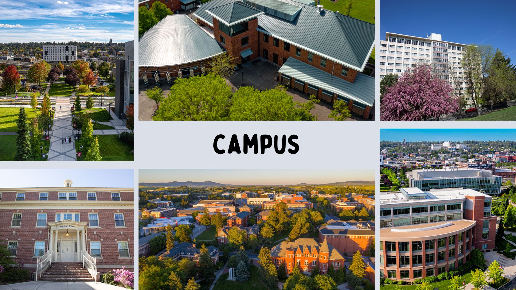 Campus Đại học Washington State University
