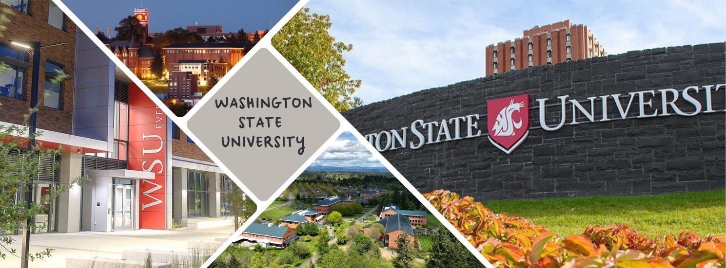 Giới thiệu về Đại học Washington State University