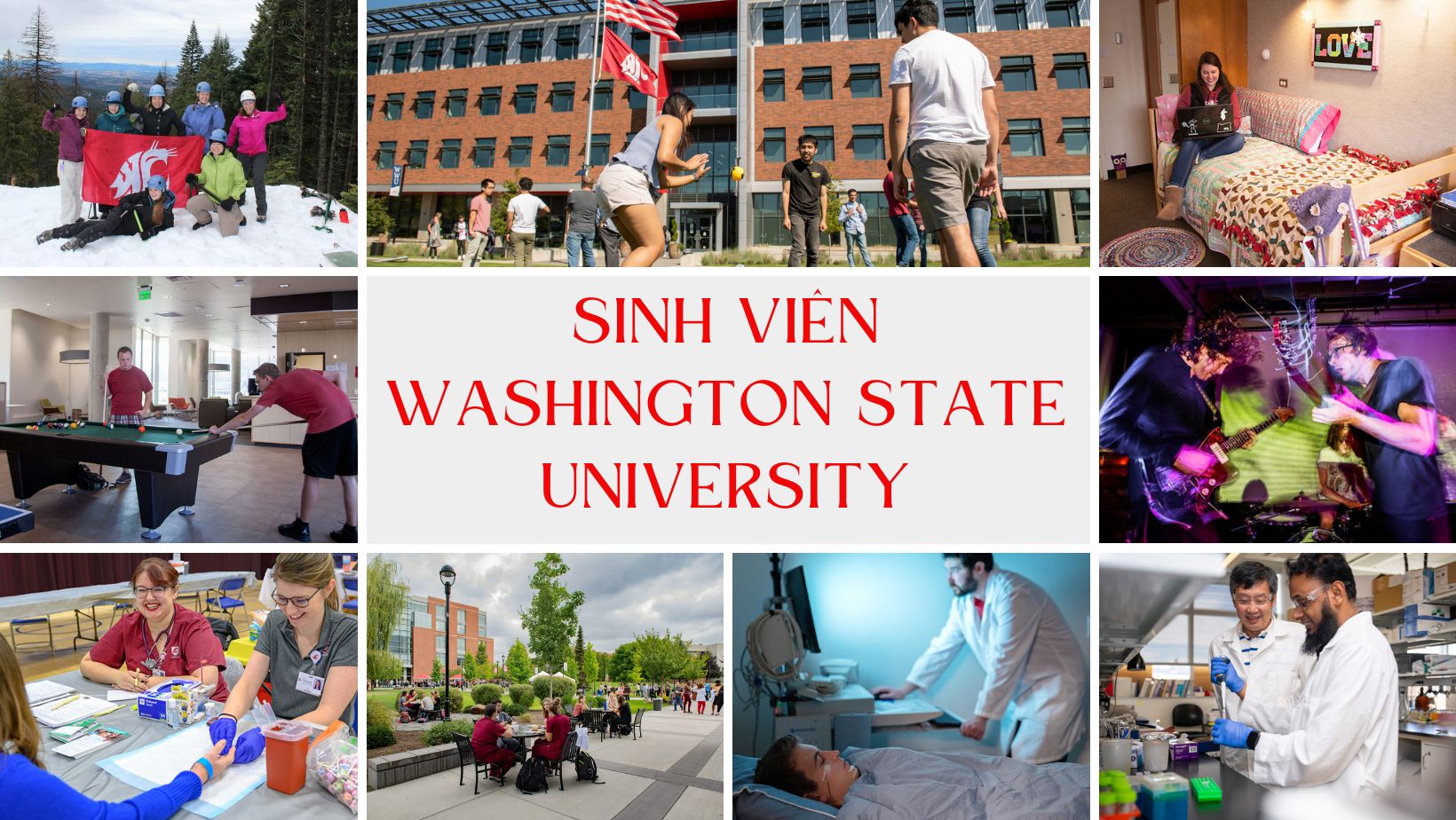 Sinh viên Đại học Washington State University